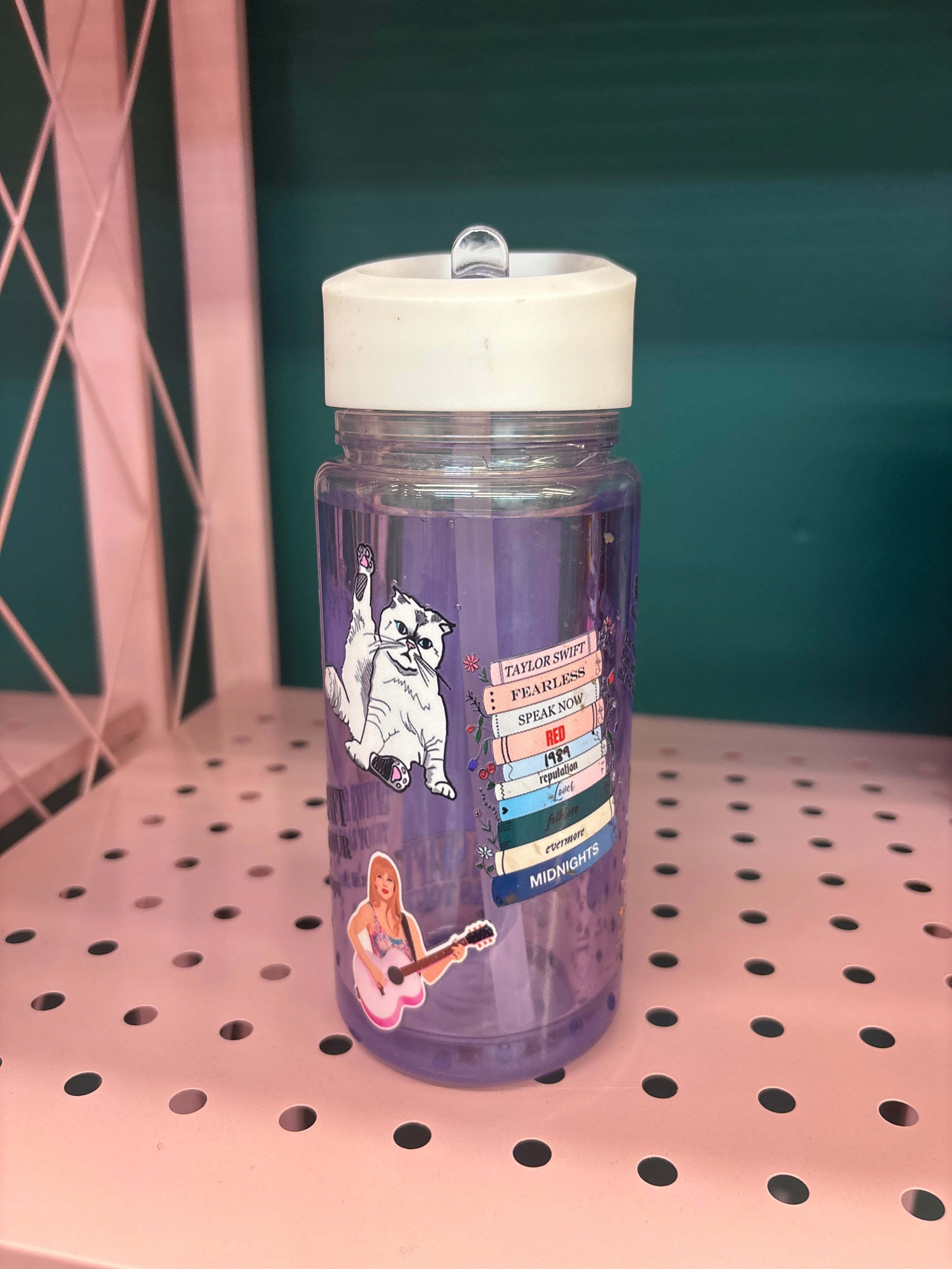 16oz Taylor Swift SnowGlobe cup
