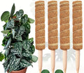 Moss Poles