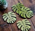 6pc coasters
