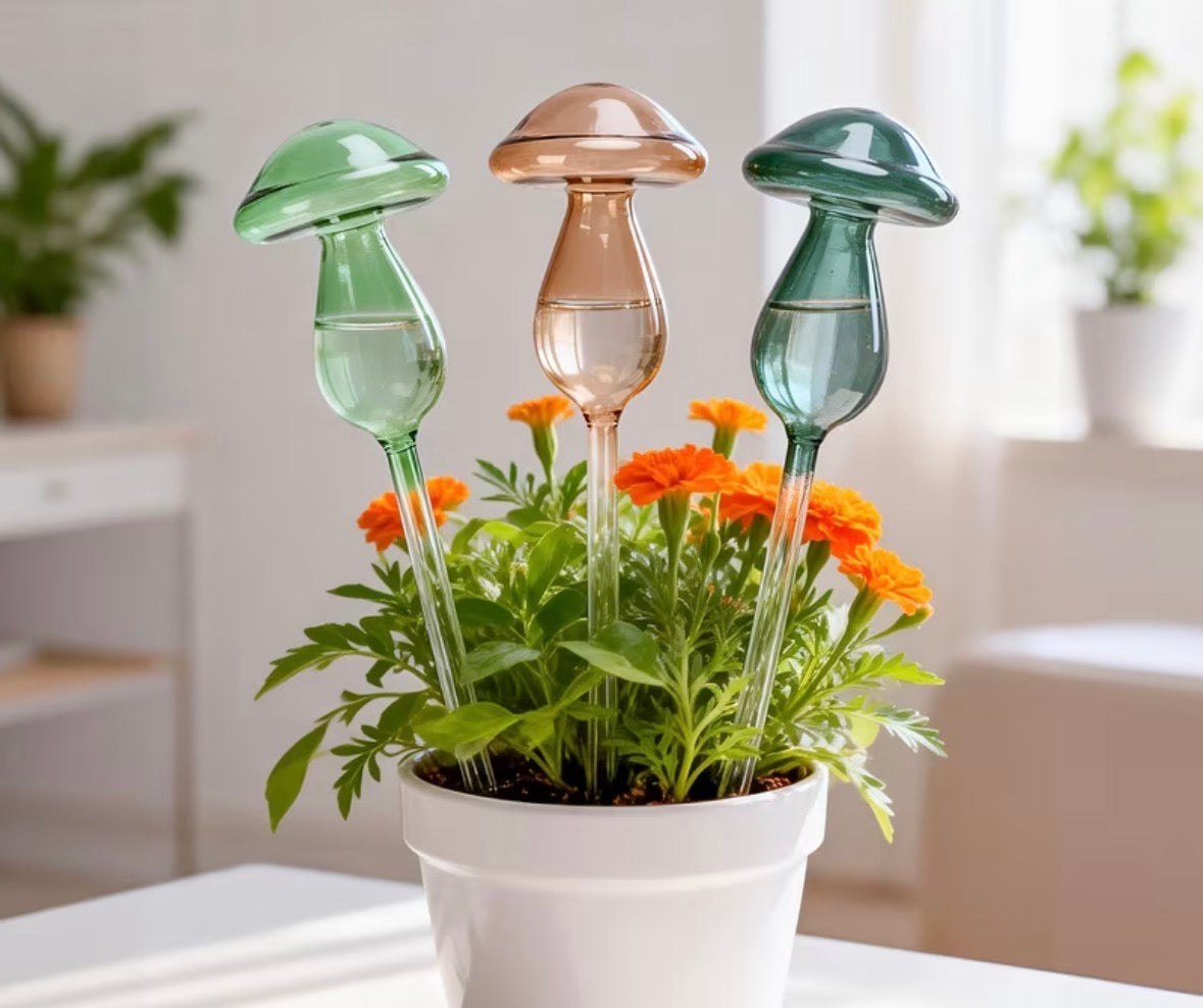 Self watering plant mushrooms